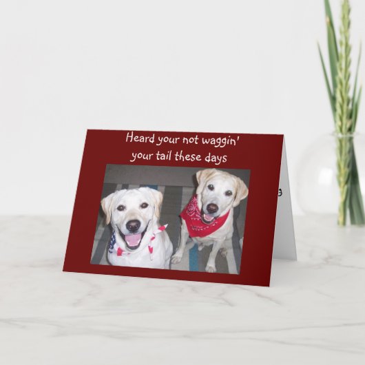 CARTE LES CHIENS ENCOURAGENT LE BIEN (Devant)