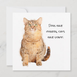 Carte Les chiens ont des propriétaires, les chats ont de