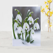 Carte Les chutes de neige en neige penser à vous (Fleur jaune)