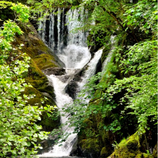 CARTE LES CHUTES D'EAU