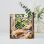 Carte Les concombres canular sur faux (Debout devant)