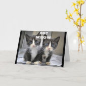 CARTE LES CUISINES NE PEUVENT PAS CROIRE QUE VOUS ÊTES * (Fleur jaune)