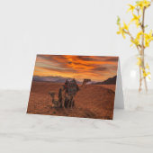 Carte Les déserts | Bactrial Camel Egypte dune de sable (Fleur jaune)