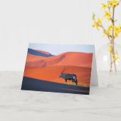 Carte Les déserts | Namib Desert Oryx (Fleur jaune)