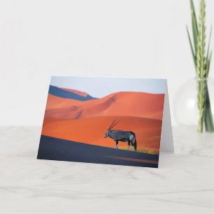 Carte Les déserts Namib Desert Oryx