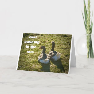 Carte LES DUCKS cool SONT SI HEUREUX POUR VOUS SUR *40èm