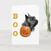 Les écossais Terrier (noir) huent
