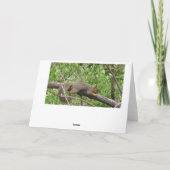 Carte Les écureuils amusants rendent la vie meilleure am (Dos)