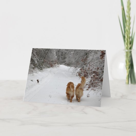 Carte Les Épouses de neige (Devant)