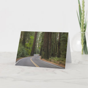 Carte Les Etats-Unis, la Californie, route par la forêt