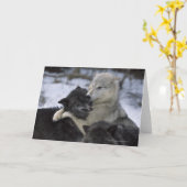 Carte Les Etats-Unis, Montana, loups jouant dans la (Fleur jaune)