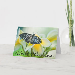 Carte Les Etats-Unis, Pennsylvanie. Papillon de machaon