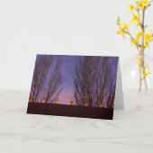 Carte Les farolitos traditionnels éclairent les structur (Fleur jaune)