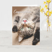 Carte Les félicitations cardent avec le chaton tigré (Fleur jaune)