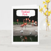 CARTE LES FLAMANTS ROSES D'OBSERVATION D'ANNIVERSAIRE SO (Fleur jaune)