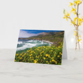 Carte Les Fleurs Au-Dessus De La Plage De Sable Dollar (Fleur jaune)