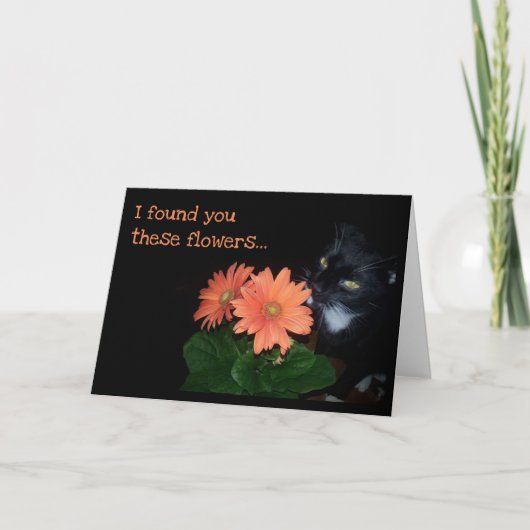 Carte Les Fleurs d'anniversaire du chat (Devant)