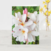 Carte Les fleurs de la plumeria (Fleur jaune)