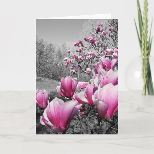 Carte Les fleurs du printemps (Devant)