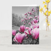 Carte Les fleurs du printemps (Fleur jaune)