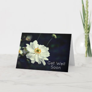 Carte Les Fleurs Jardins Anémoniques Blanches Se Font Bi