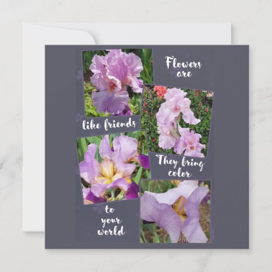Carte Les fleurs sont comme des amis (Devant)
