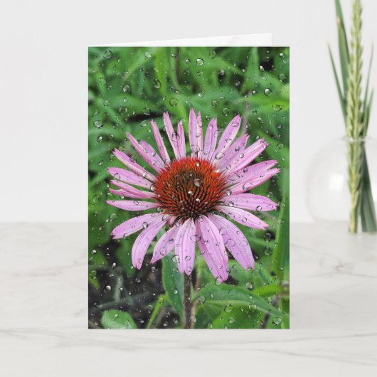 Carte Les gouttes de pluie sur la fleur de cône (Devant)