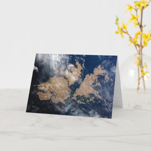 Carte Les îles Falkland (îles Malvinas). (Fleur jaune)