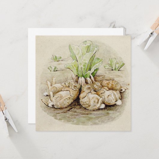 Carte Les lapins de Flopsy endormis (par Beatrix Potter) (Devant/Arrière en situation)