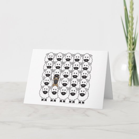 Carte Les Malinois belges dans le mouton (Devant)