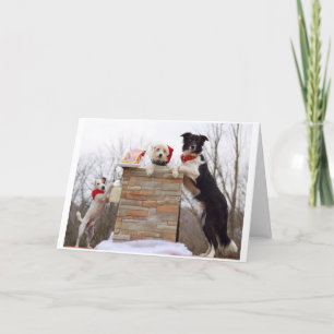 Carte Les mauvais chiens sont prêts pour Père Noël.