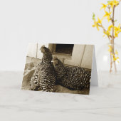 Carte Les meilleurs amis de deux poules (Fleur jaune)