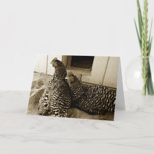 Carte Les meilleurs amis de deux poules