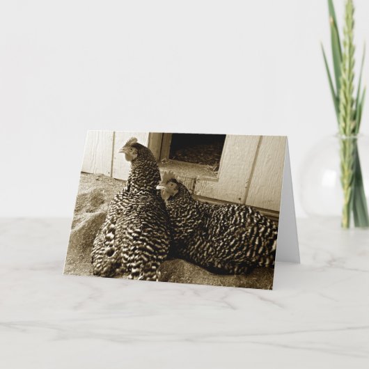 Carte Les meilleurs amis de deux poules (Devant)