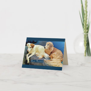 Carte Les meilleurs amis pour la vie