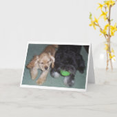 CARTE LES MEILLEURS AMIS POUR L'ANNIVERSAIRE SOUHAITENT (Fleur jaune)