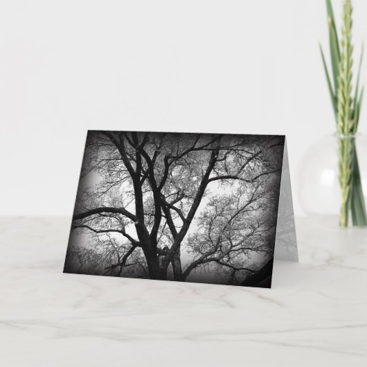 Carte Les membres de la nature (Devant)