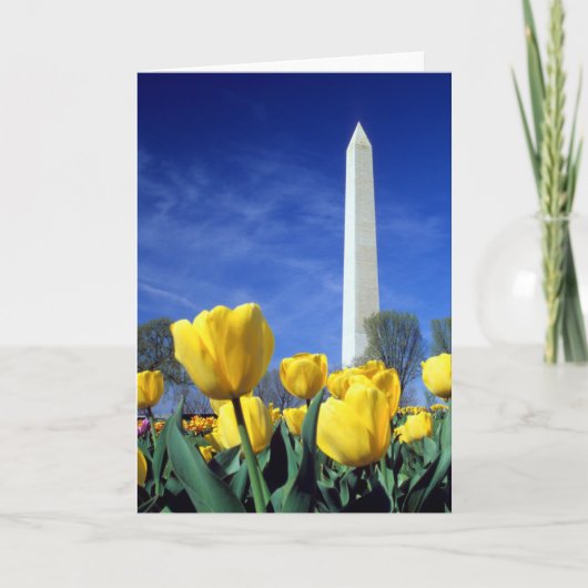 Carte Les monuments | Washington Monument au printemps (Devant)