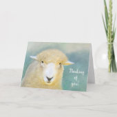 Carte Les Moutons Doux Et Aimants Se Font Bien (Devant)