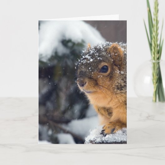 Carte Les noix congelées se portent bien bientôt (Devant)