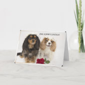 Carte Les Nouvelles Maisons Cavalier Roi Charles Spaniel (Devant)