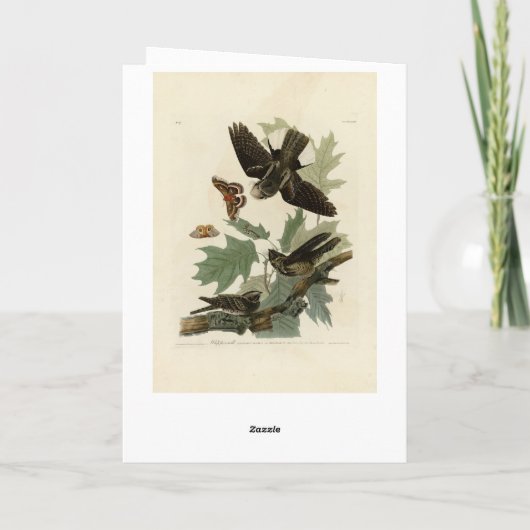 Carte Les oiseaux d'Amérique d'Audubon (Dos)