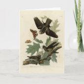 Carte Les oiseaux d'Amérique d'Audubon (Devant)