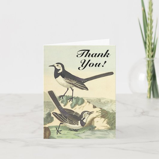 Carte Les oiseaux "Merci !" Vintage (Devant)