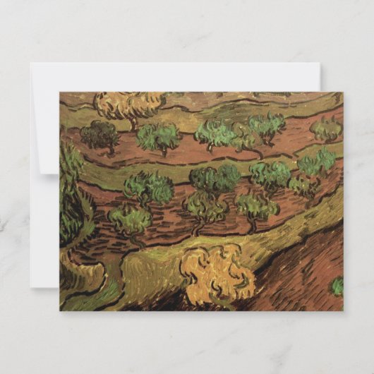 Carte Les oliviers de Van Gogh face à une pente d'une co (Devant)