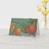 Carte Les pêches (Fleur jaune)