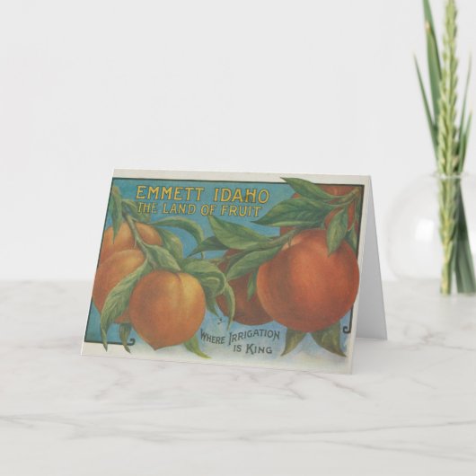 Carte Les pêches (Devant)