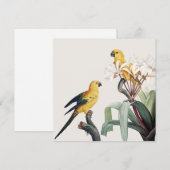 Carte Les perroquets (Devant / Derrière)