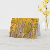 Carte Les peupliers d'automne dans le col Kebler au Colo (Fleur jaune)