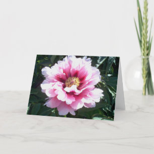 Carte Les pivoines